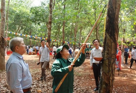 Cao su Chư Sê chú trọng phát triển Đảng trong công nhân